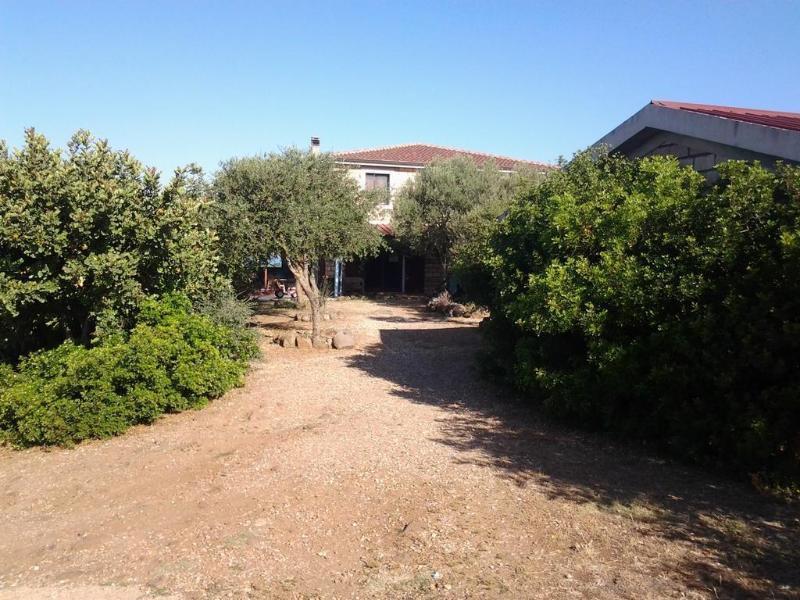 Agriturismo Sa Murta In Sennariolo-Oristano Zewnętrze zdjęcie