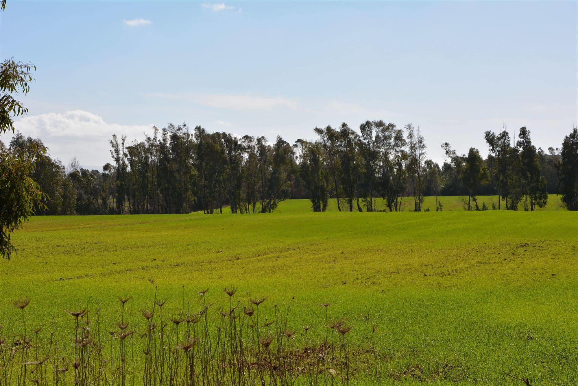 Agriturismo Sa Murta In Sennariolo-Oristano Zewnętrze zdjęcie