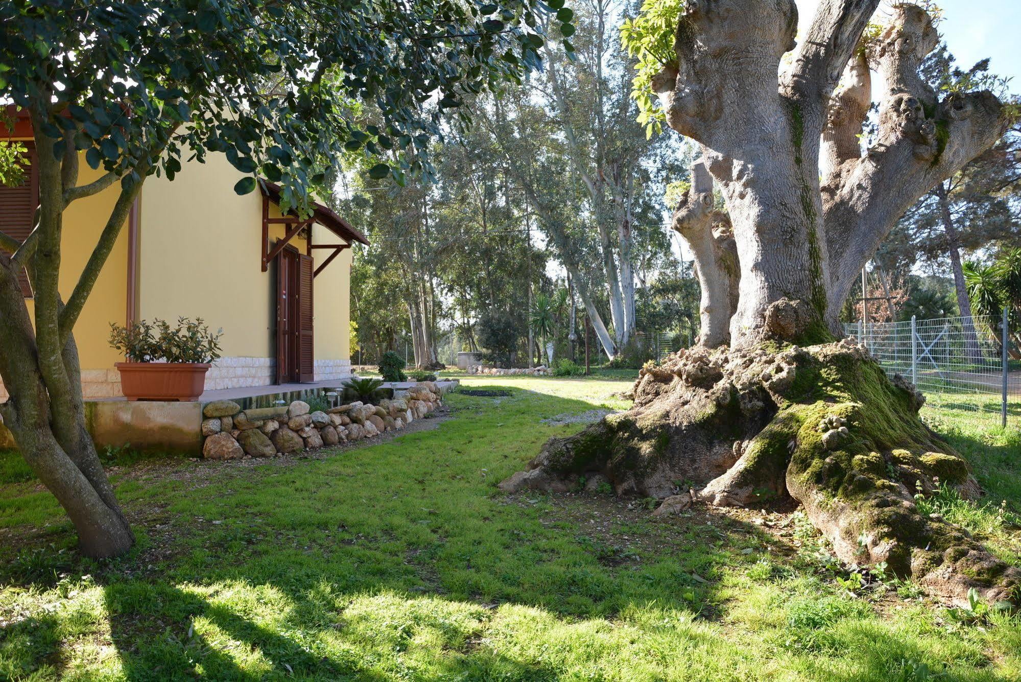 Agriturismo Sa Murta In Sennariolo-Oristano Zewnętrze zdjęcie